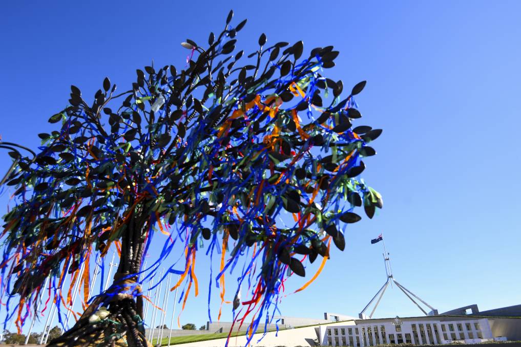 A memorial tree sculpture out the front of Parliament House to mark the national apology to victims and survivors of institutional child sexual abuse (Image source: AAP)